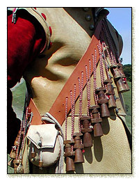 click to read description & to see more images of the bandolier.