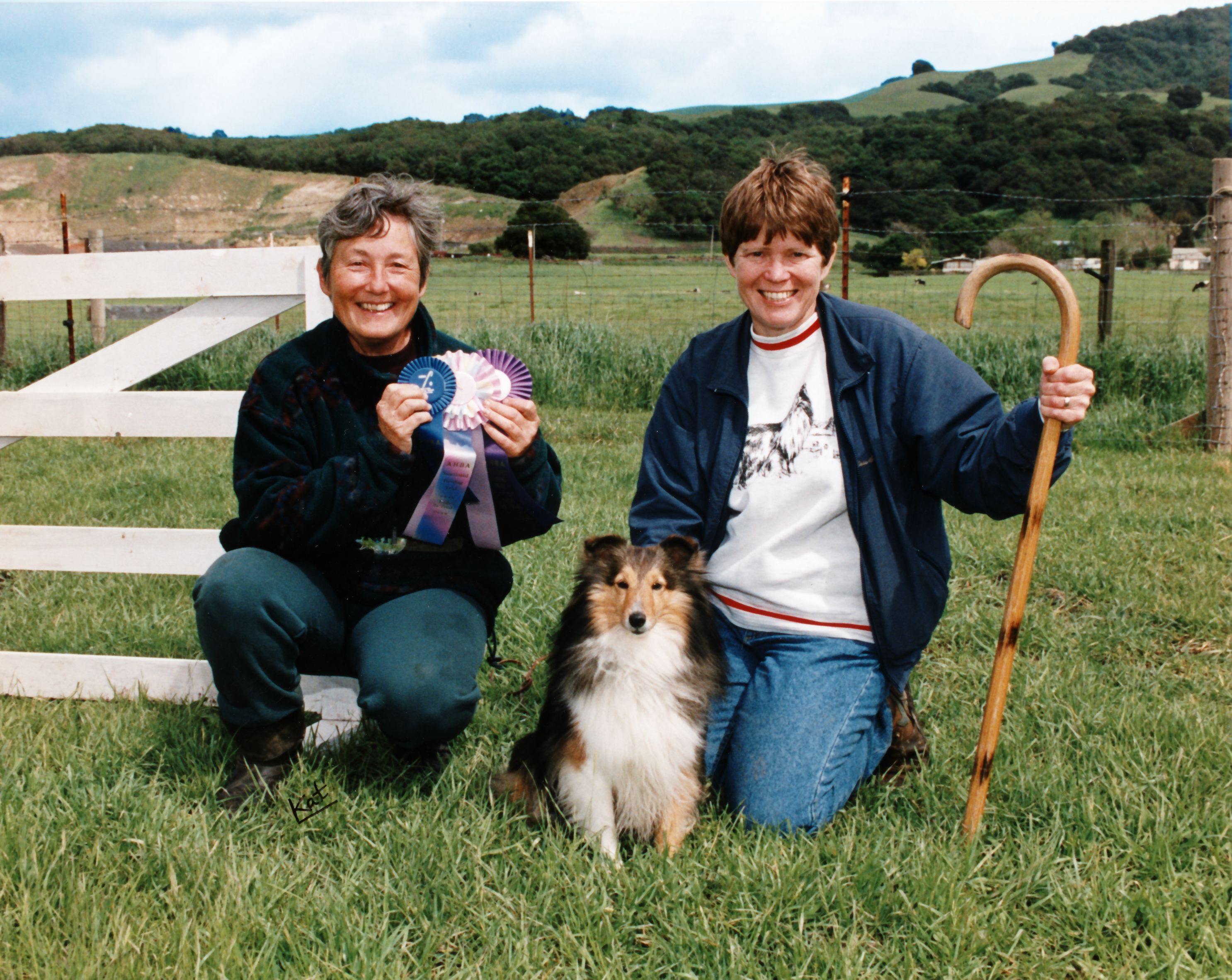 akc herding titles